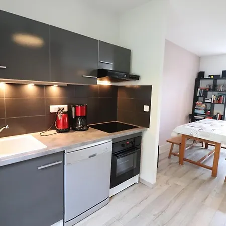 Maison Contemporaine A Thiezac, Proche Super Lioran, 4 Pers, 2 Ch, Terrasse, Jardin, Animaux Admis - Fr-1-742-423 Thiézac